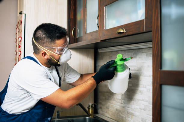 Best Pest Prevention Services  in Matta, WA