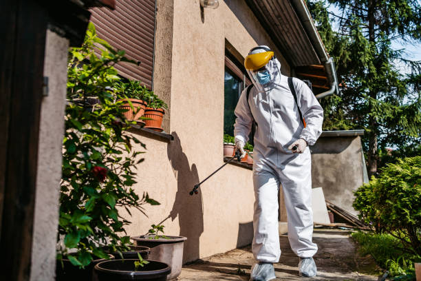 Best Affordable Exterminators  in Matta, WA