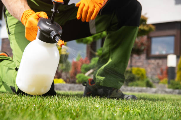 Best Local Pest Control Services  in Matta, WA