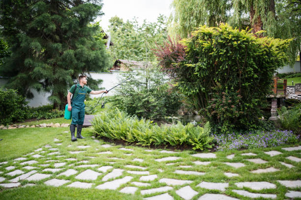 Wasp Removal Services in Mattawa, WA