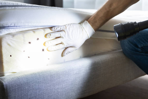Best Affordable Pest Control Services  in Matta, WA