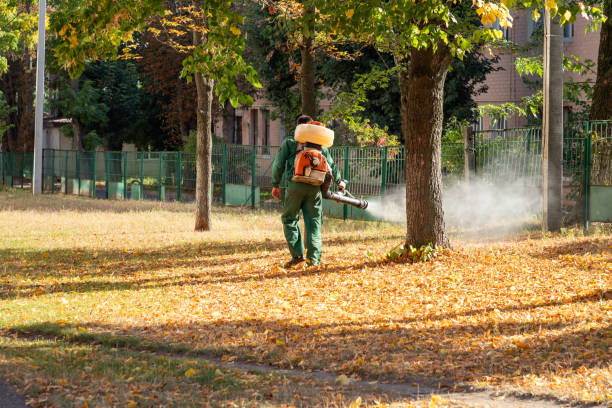 Best Flea Control Services  in Matta, WA