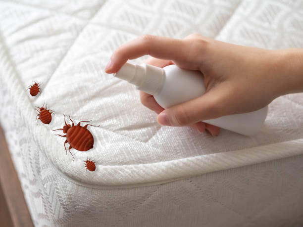 Best Cockroach Control Services  in Matta, WA