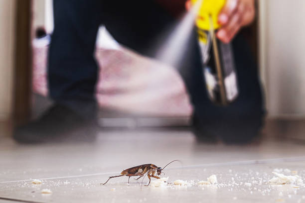 Best Termite Control Services  in Matta, WA