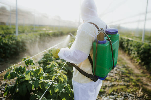 Trusted Mattawa, WA Pest Control Experts
